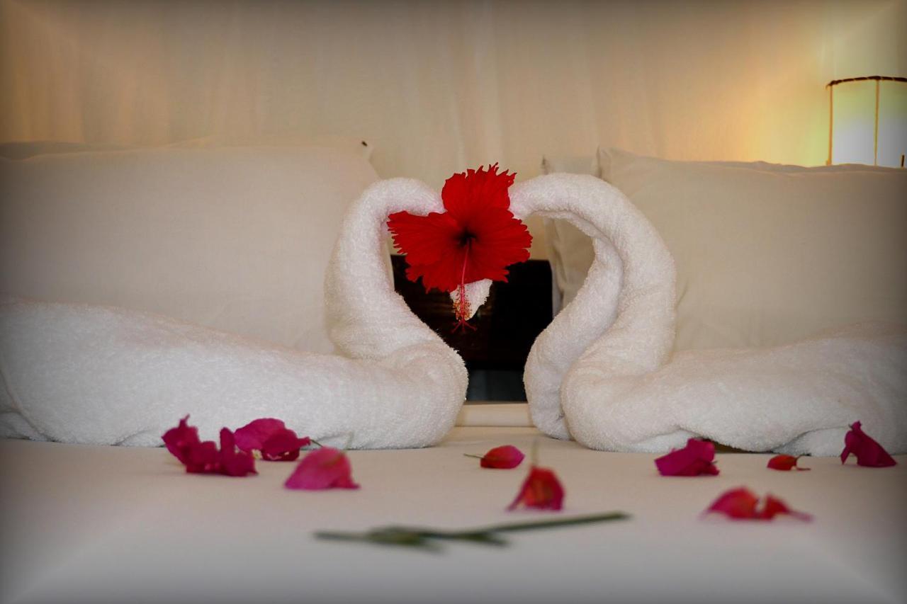 Nyumba Ya Paka Boutique Hotel Malindi Dış mekan fotoğraf